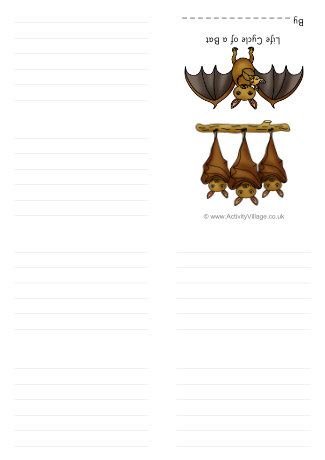 Life Cycle Of A Bat Booklet Life Cycle Of A Bat Booklet
