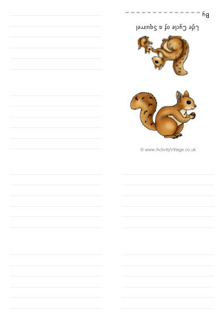 Life Cycle Of A Squirrel Booklet Life Cycle Of A Squirrel Booklet