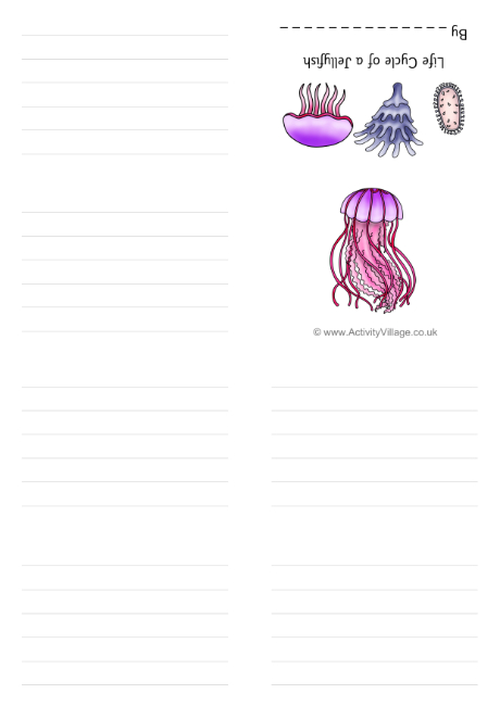 Life cycle of a jellyfish booklet Life cycle of a jellyfish booklet