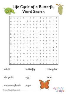 Life Cycle Word Searches