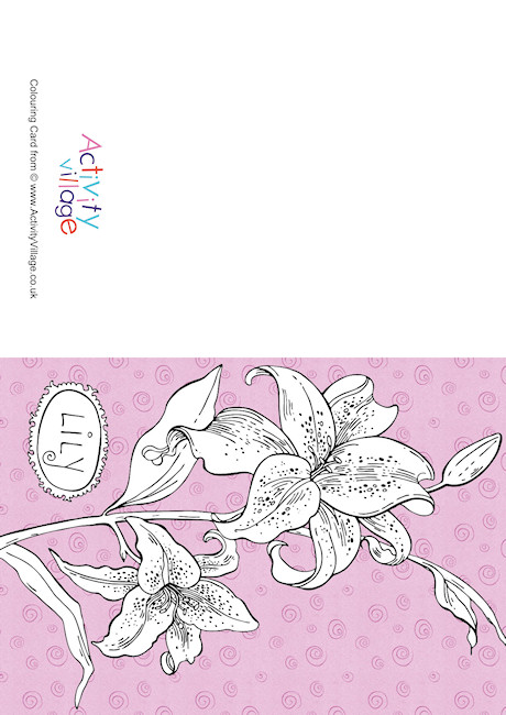 Lily Colour Pop Colouring Card