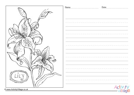 Lily Story Paper