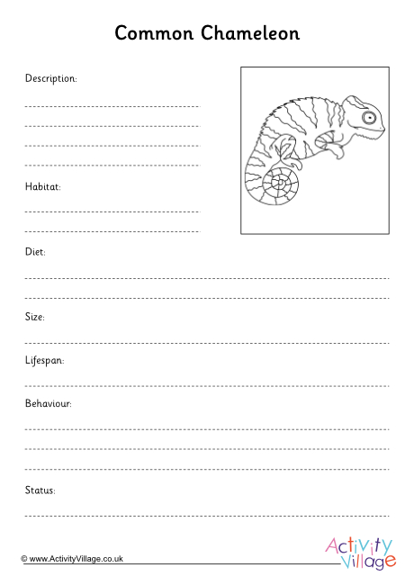 Lizards: Common Chameleon Fact Finding Worksheet