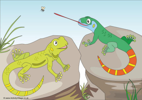 Lizards Scene Poster