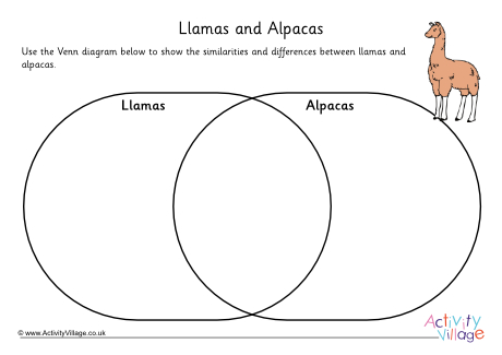 Llama Alpaca Venn Diagram