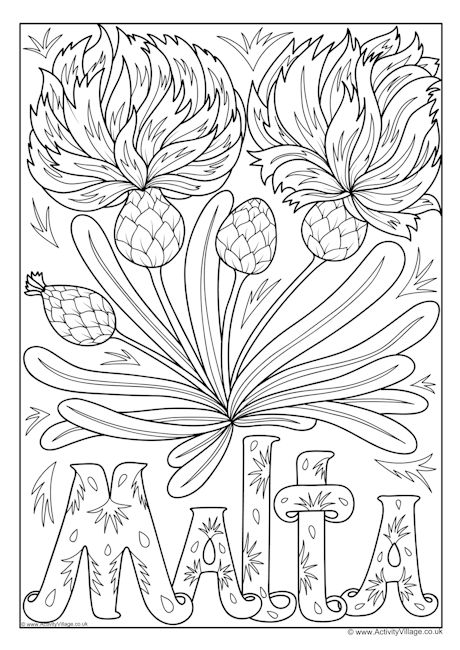 Malta national flower colouring page Malta national flower colouring page
