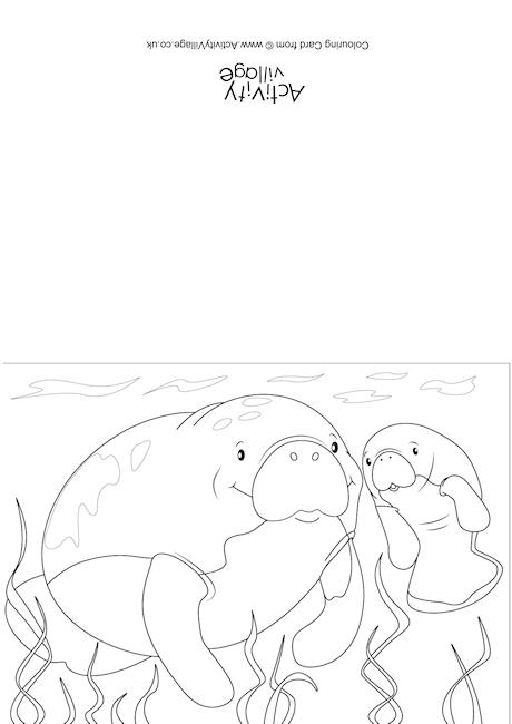 Manatees Scene Colouring Card