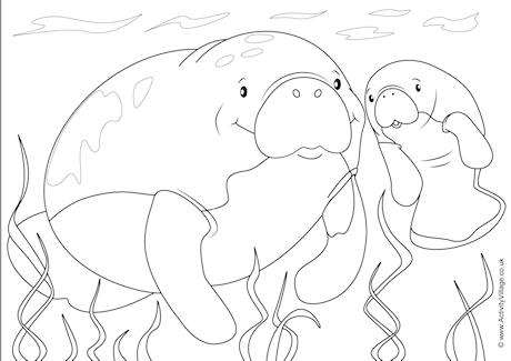 Manatees Scene Colouring Page
