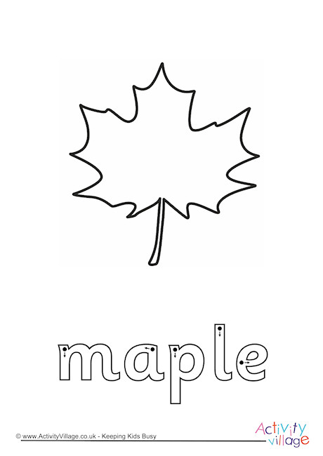 Maple Finger Tracing