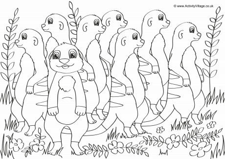 Meerkats Scene Colouring Page