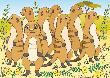 Meerkats Scene Poster