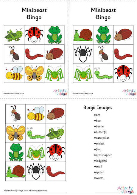 Minibeast Bingo Cards Minibeast Bingo Cards