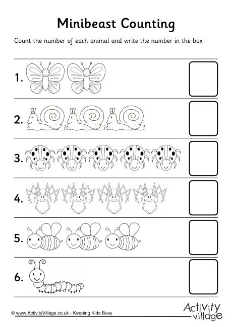 Minibeast Counting 2