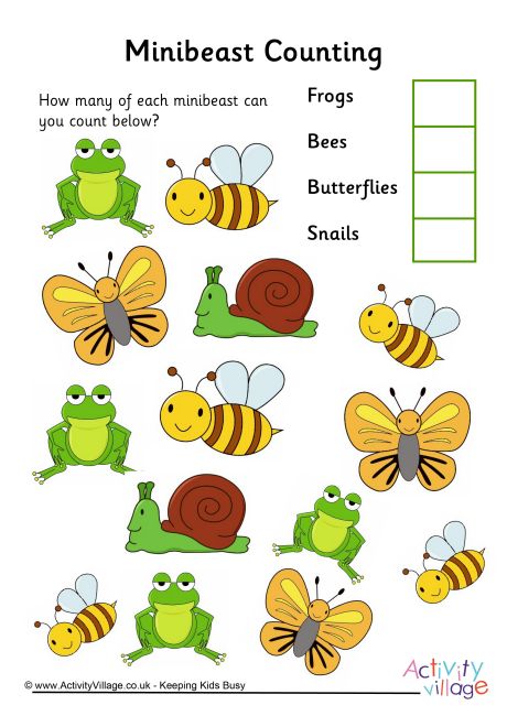 minibeast counting 3
