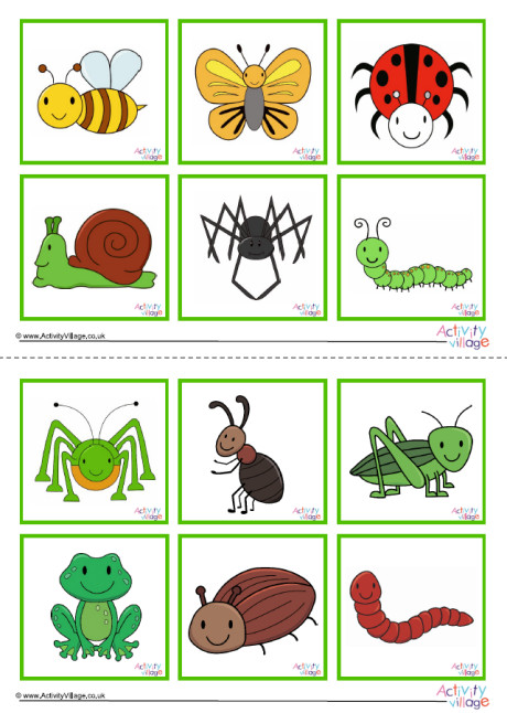 Minibeast Game Cards Minibeast Game Cards