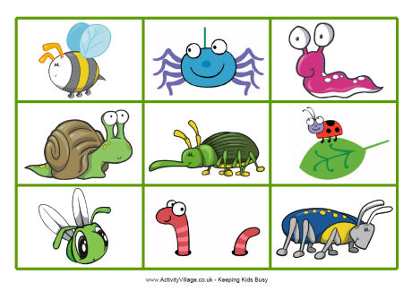 Minibeasts Matching Game