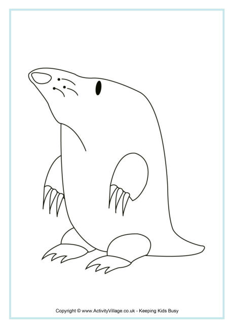 Mole colouring page 2