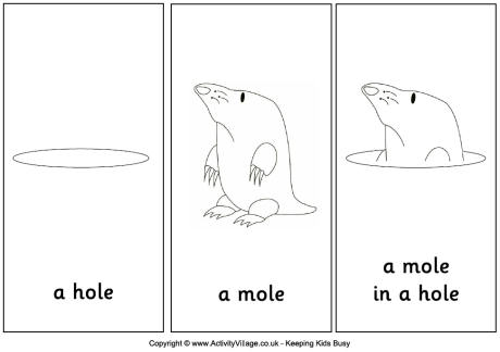 Mole reading worksheet