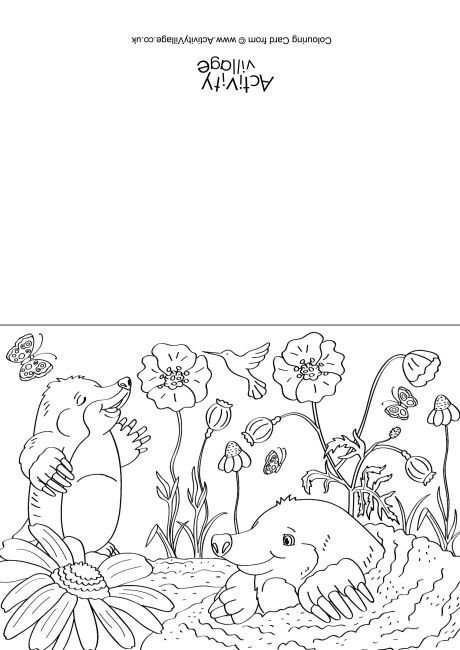 Moles Scene Colouring Card