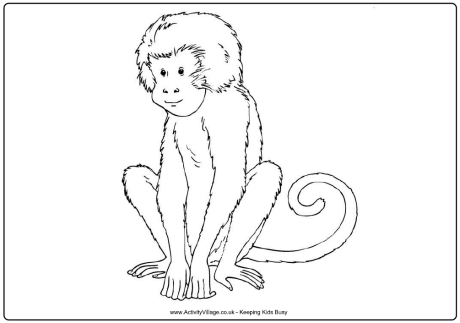 Monkey colouring page 2