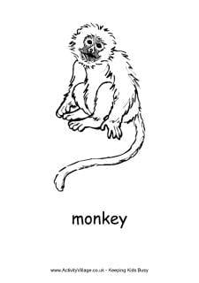 Monkey colouring pages