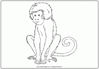Monkey Colouring Pages
