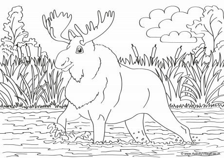 Moose Scene Colouring Page