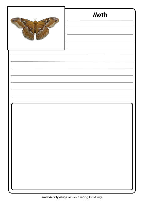 Moth notebooking page
