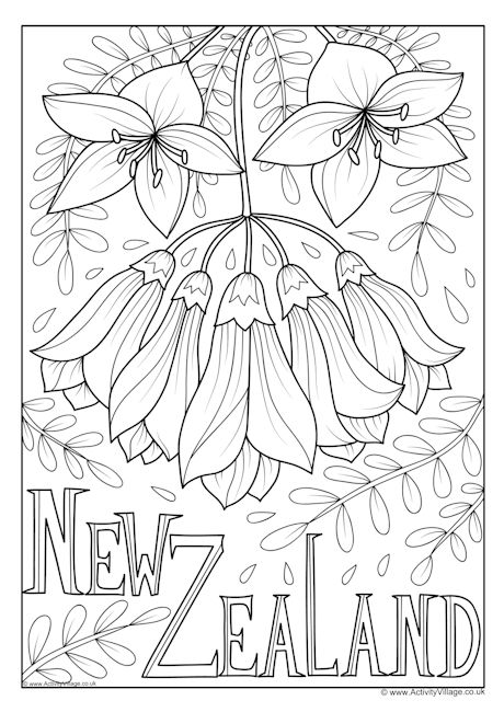 New Zealand national flower colouring page