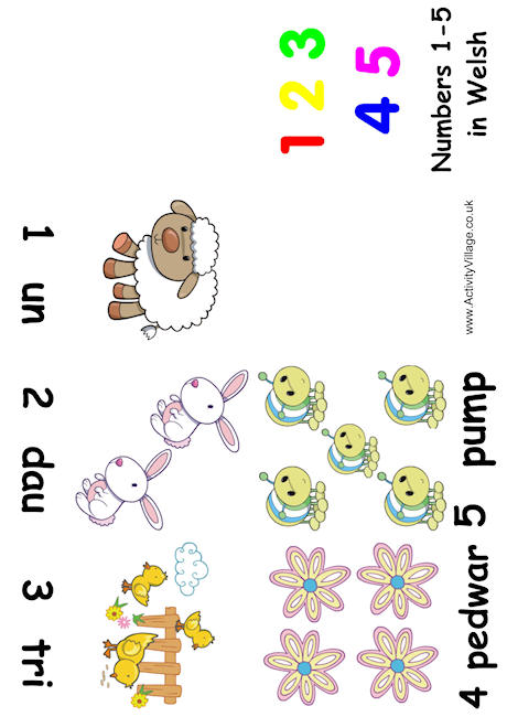Numbers 1-5 booklet Welsh Numbers 1-5 booklet Welsh