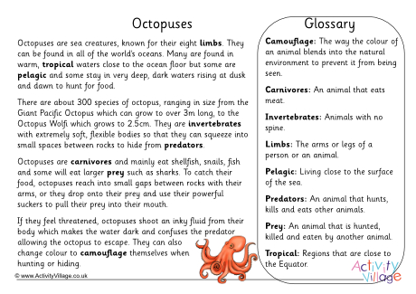 Octopus Fact Sheet