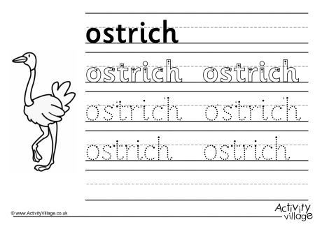 Ostrich Handwriting Worksheet