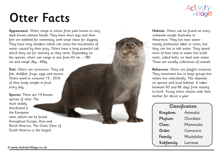 Otter fact poster