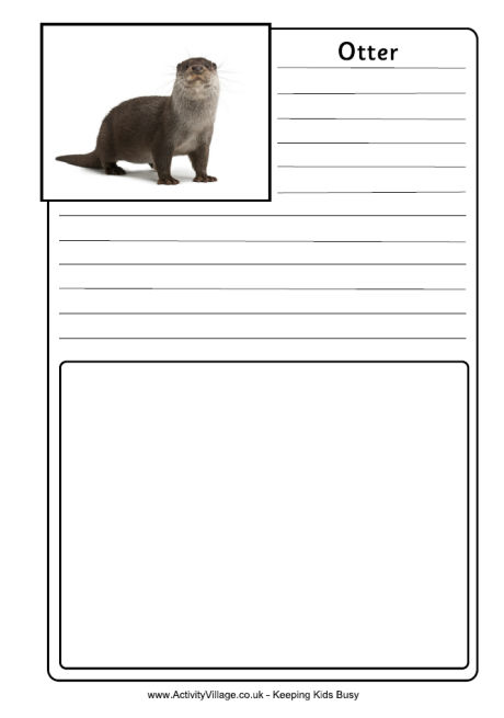 Otter notebooking page