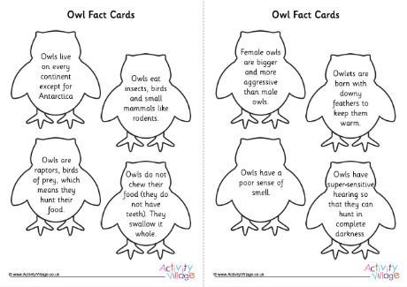 Owl Fact Shape Cards