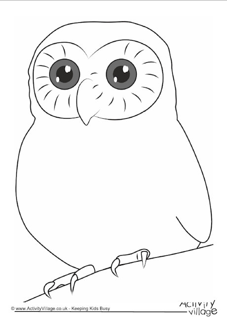 Owl frame