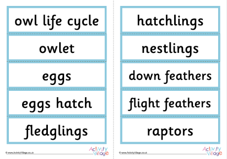 Owl Word Cards