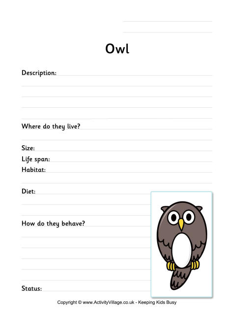 Owl worksheet