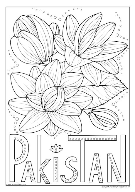 Pakistan national flower colouring page