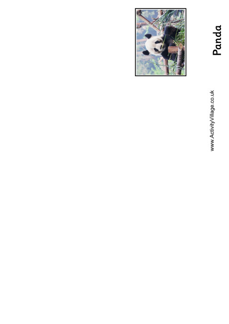 Panda Booklet Panda Booklet