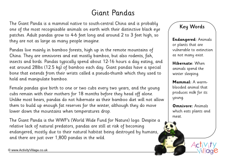 Panda fact sheet