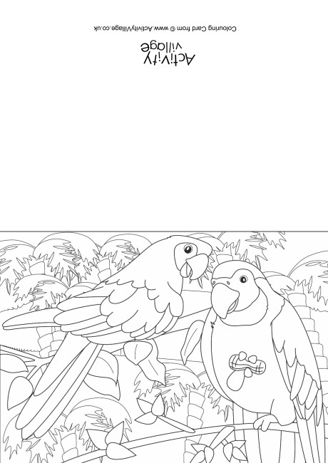 Parrots Scene Colouring Card