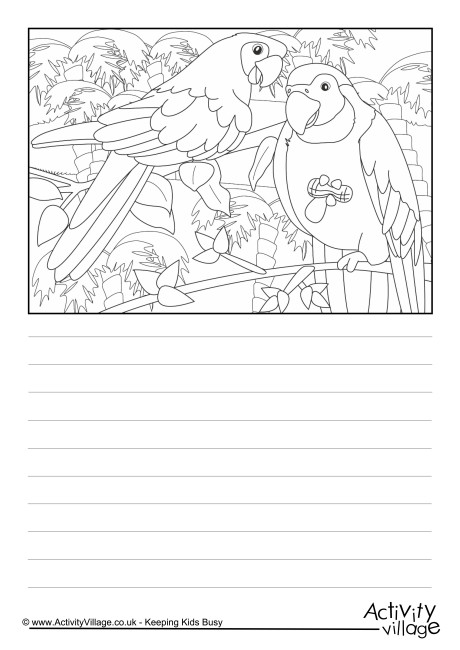 Parrots scene story paper