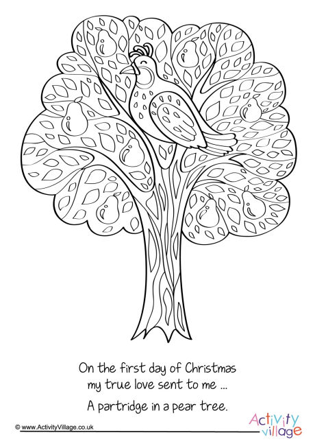 Partridge In A Pear Tree Colouring Page