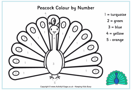 Peacock colour by number