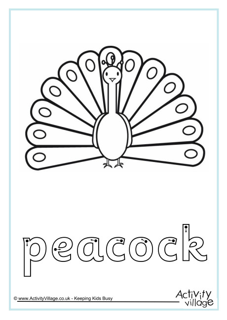Peacock Finger Tracing