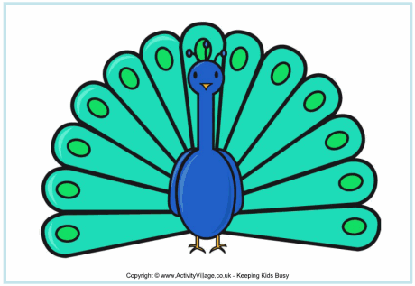 Peacock poster