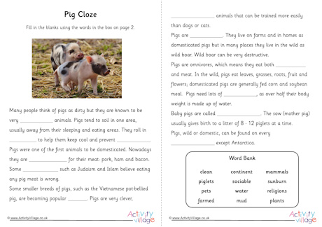 Pig cloze
