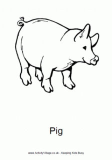 Pig Colouring Pages
