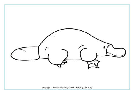 Platypus colouring page 2